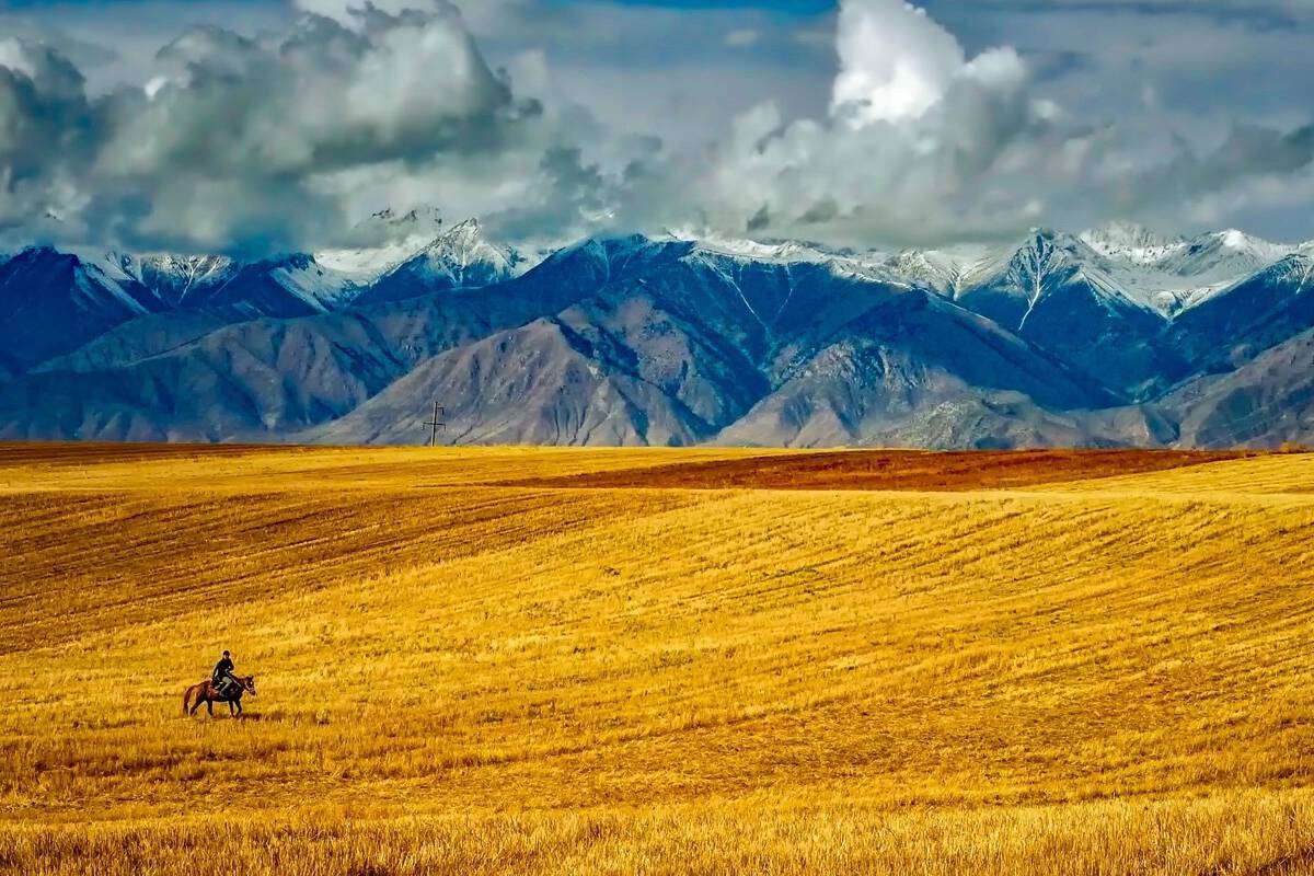 影响营销自动化技术应用成功与否的三大因素